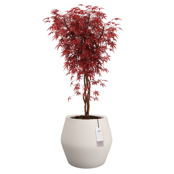 june split low 46cm linen white